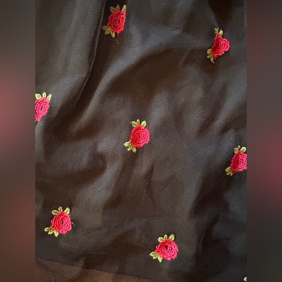 NWT Cosmic Aura Embroidered Rose πΉ Mesh Mini Dress size Small π - Picture 3 of 9
